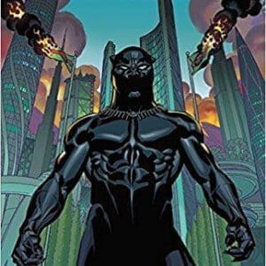 Black Panther: A Nation Under Our Feet Book 1 at AshayByTheBay.com