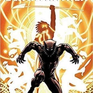 Black Panther: A Nation Under Our Feet Book 2 at AshayByTheBay.com