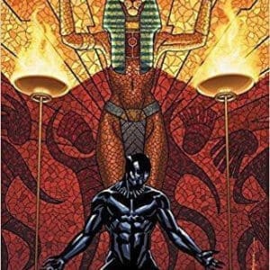 Black Panther Book 4: Avengers of the New World Book 1 at AshayByTheBay.com