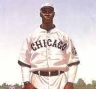 We Are the Ship: The Story of Negro League Baseball